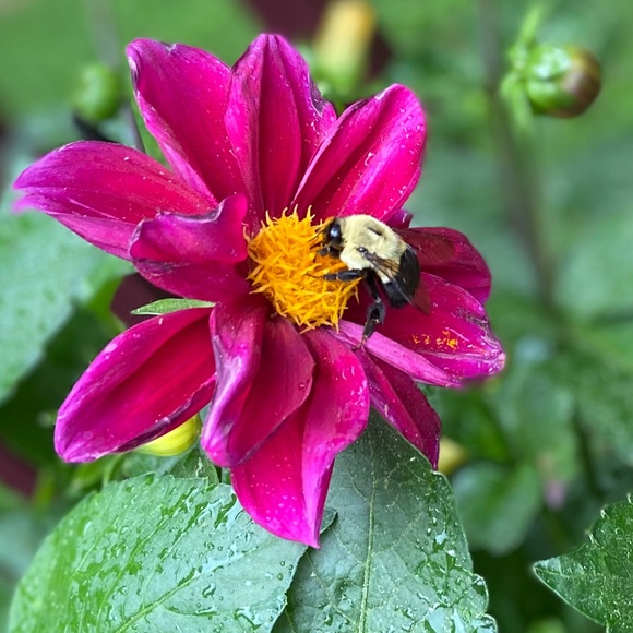 Meet your posher, Kim - Picture 11 of 12